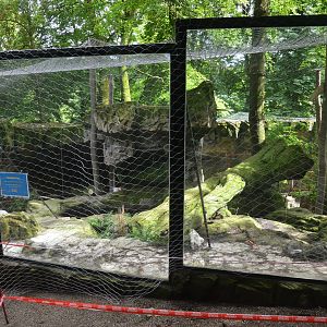 Former Brown Bear Enclosure at Beauval, 12/06/18