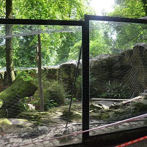 Former Brown Bear Enclosure at Beauval, 12/06/18