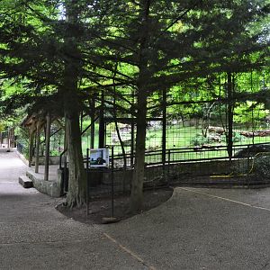 Anteater Enclosure at Beauval, 12/06/18