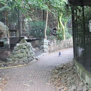 Skunk ( on the left ), Capucine ( at the end ) and owl-enclosures ( on the right )