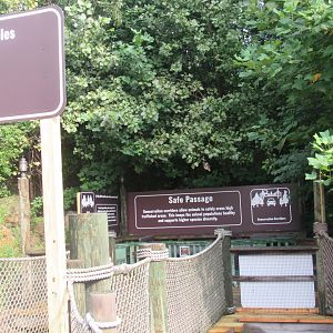 Cans for Corridors Kids Area Renovation in Legends of the Wild