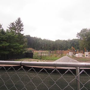 Pride of Africa Construction Area