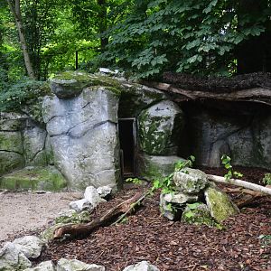 Indian Porcupine Enclosure at Beauval, 12/06/18