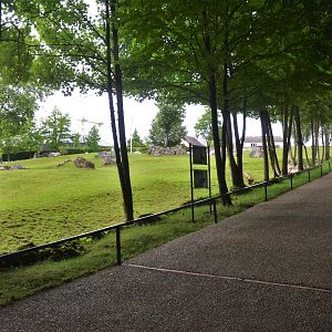 African Savannah Paddock at Beauval, 12/06/18