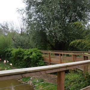 Viewing Area at Beauval, 12/06/18