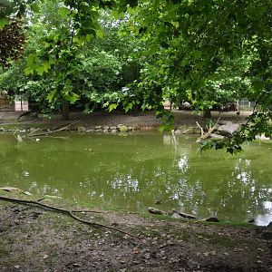 Tapir, Capybara and Rhea Enclosure at Beauval, 12/06/18