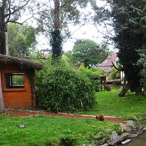 Lemur Island at Beauval, 12/06/18