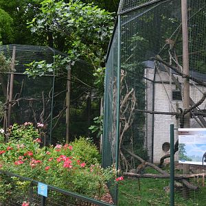 Guenon Enclosures at Beauval, 12/06/18