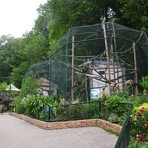 Guenon Enclosures at Beauval, 12/06/18