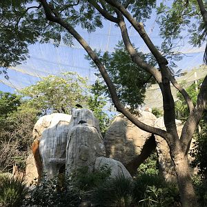 Wings of the World Aviary