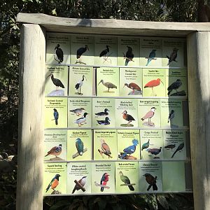 Wings of the World Signage