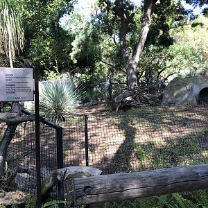 Cape Porcupine Exhibit