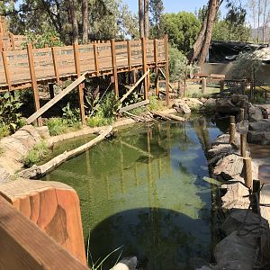 Waterfowl Exhibit