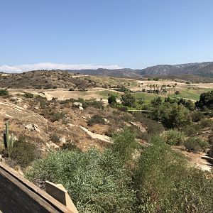 The View from Condor Ridge