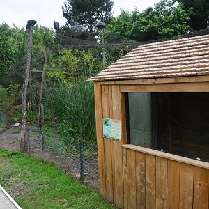 Abyssinian Ground Hornbill Enclosure at Spaycific'Zoo, 13/06/18