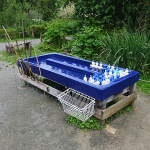 Hook a Duck at Spaycific'Zoo, 13/06/18