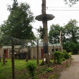 Brown Capuchin Enclosure at Spaycific'Zoo, 13/06/18