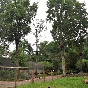 Primate Enclosures at Spaycific'Zoo, 13/06/18