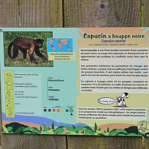 Signage Example at Spaycific'Zoo, 13/06/18