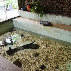 Turtle Enclosure in the Vivarium at Spaycific'Zoo, 13/06/18