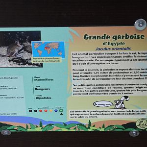 Signage Example at Spaycific'Zoo, 13/06/18