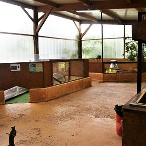 Reptile Enclosures in the Vivarium at Spaycific'Zoo, 13/06/18
