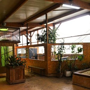 Marmoset and Reptile Enclosures in the Vivarium at Spaycific'Zoo, 13/06/18