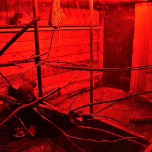 Douroucouli and Armadillo Enclosure in the Vivarium at Spaycific'Zoo, 13/06/18