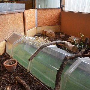 Crawl-through Corn Snake Exhibit in the Vivarium at Spaycific'Zoo, 13/06/18