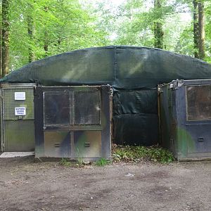 Egyptian Fruit Bat Walkthrough at Spaycific'Zoo, 13/06/18