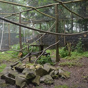 Lemur and Skunk Enclosure at Spaycific'Zoo, 13/06/18