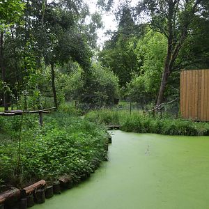 Walk-in Aviary at Spaycific'Zoo, 13/06/18