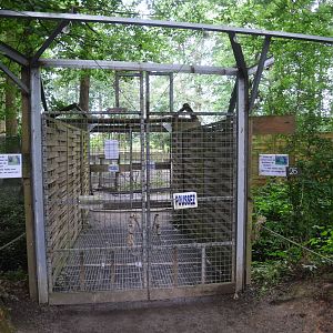 Macropod and Muntjac Walkthrough at Spaycific'Zoo, 13/06/18