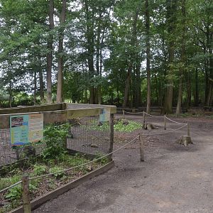 Macropod and Muntjac Walkthrough at Spaycific'Zoo, 13/06/18