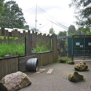 African Walk-through Aviary Entrance and Dwarf Mongoose Enclosure at Spaycific'Zoo, 13/06/18