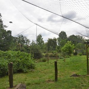 African Walk-through Aviary at Spaycific'Zoo, 13/06/18