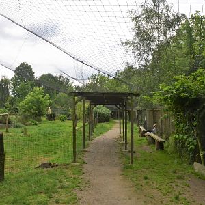 African Walk-through Aviary at Spaycific'Zoo, 13/06/18