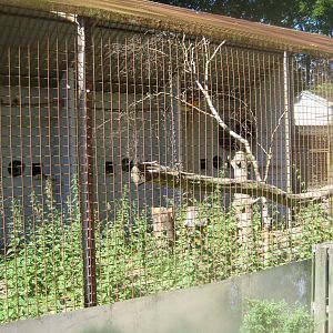 Frydenlund Fuglepark - Parrot aviary #11