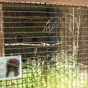 Frydenlund Fuglepark - Parrot aviary #12
