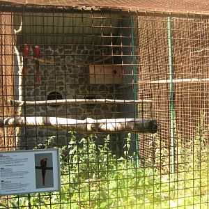 Frydenlund Fuglepark - Parrot aviary #13