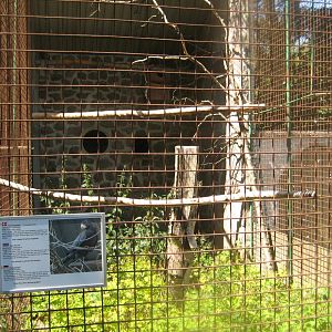 Frydenlund Fuglepark - Parrot aviary #14