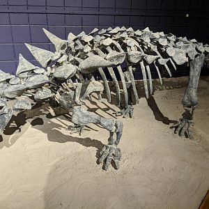 Animantarx ramaljonesi