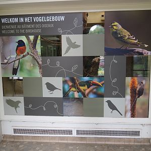 Welcome to the Bird House