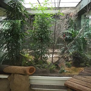 Aviary for white-rumped shama & red avadavat