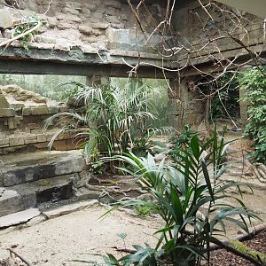 Bird House - Mixed American aviary