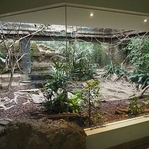 Bird House - Mixed American aviary