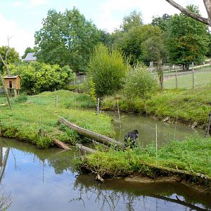 Enclosure for Tonkean Macaque at Parc Zoo Reynou, 2011