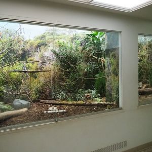 Bird House - Aviary Emei Shan Liocichla and Orange-breasted waxbill