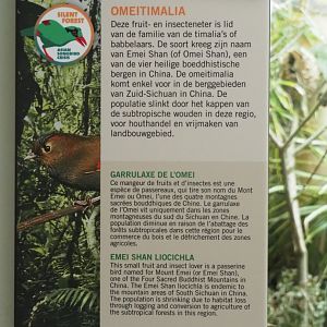 Silent Forest campaign - Emei Shan Liocichla sign