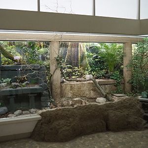 Bird House - Mixed Asian aviary